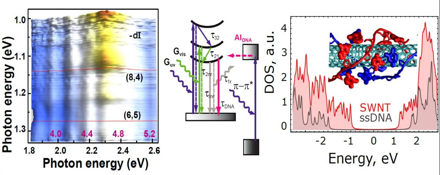 DNA Wrapped Around Nanotube And Experimental Two-Color Fluorescence Spectroscopy