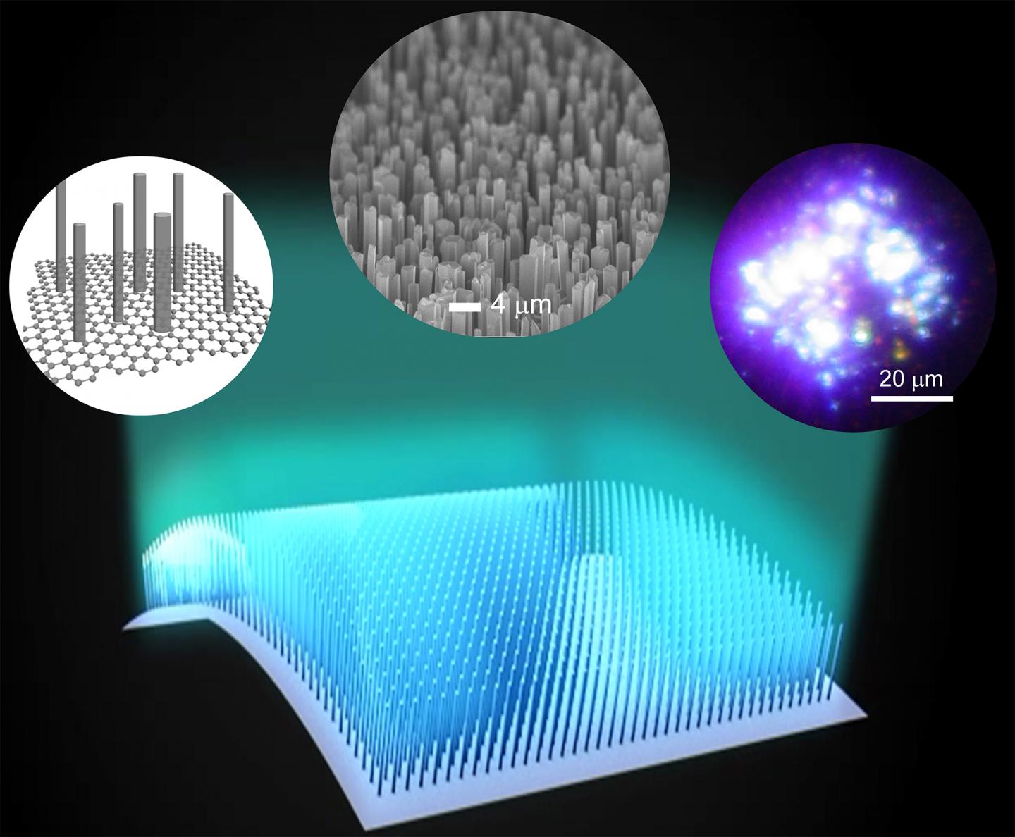 Micro-rod Growth Rendering 