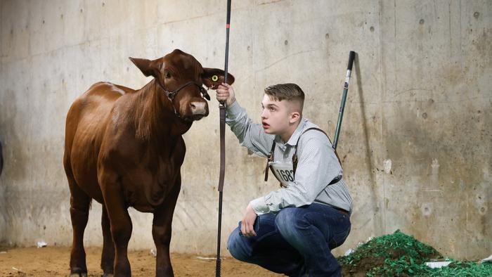 Geordan Boulware went on to win Reserve Breed Champion 2025 in the Fort Worth Livestock Show and placed fourth in the Junior Breeding Beef Heifer Show in the 2025 Houston Livestock Show and Rodeo.
