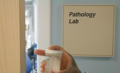 Path Lab