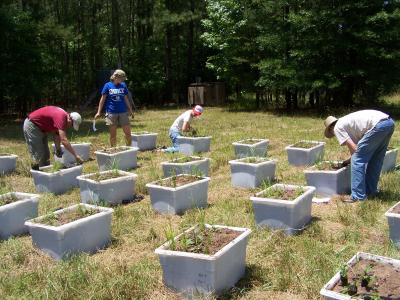 Mesocosms
