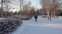 Additional Footage to Interview on Zika with Joacim Rock, Umea University