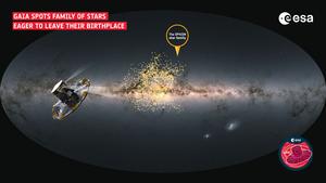 Gaia spots odd star family (infographic)