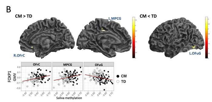 FOXP1 Hypermethylation Correlates with Gray Matter Changes in Emotional Regulation, Memory Retrieval, and Social Cognition Regions of the Brain