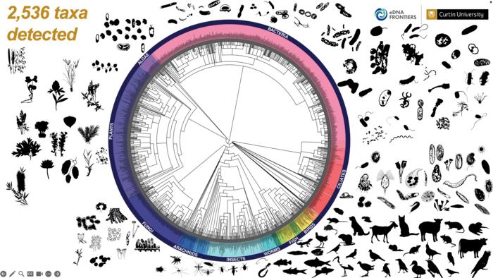 2026 BioBlitz results graphic
