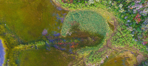 Long-Term Nitrogen Enrichment in Great Sippewissett Salt Marsh, Falmouth, Mass.