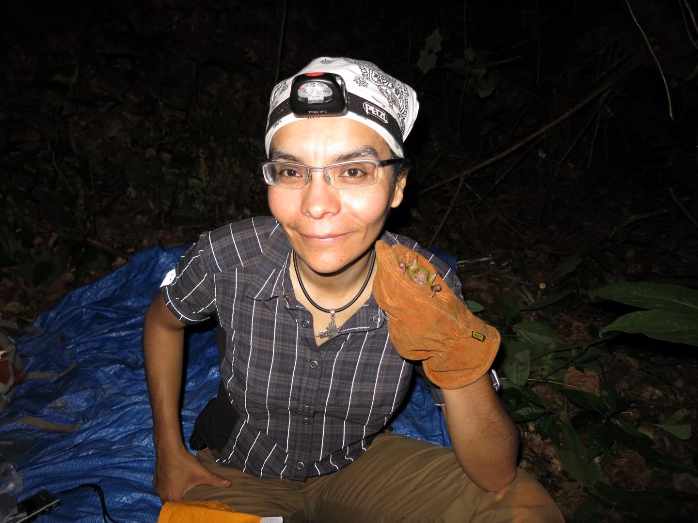 Stony Brook Bat Researcher