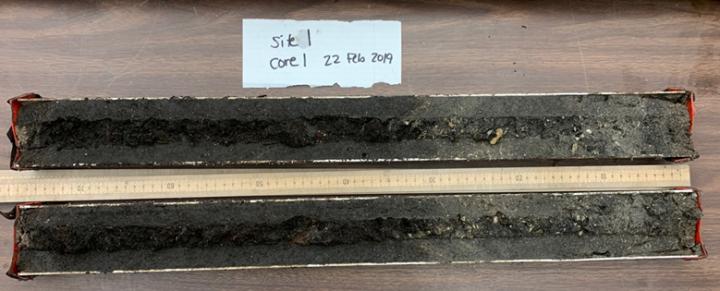 Sediment core