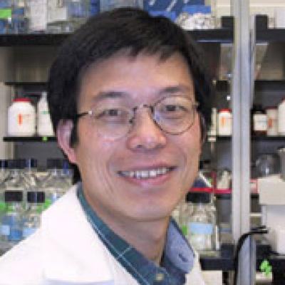 Yi Zhang, University of North Carolina at Chapel Hill