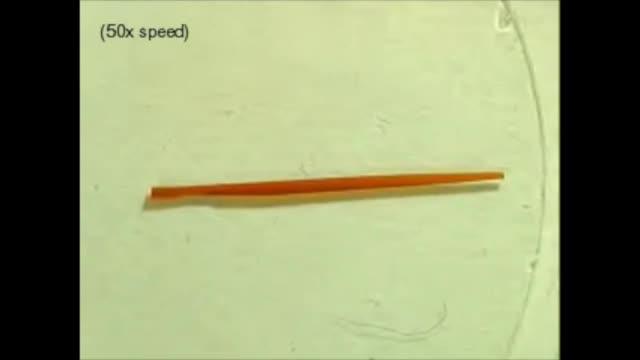 Robotic Crystals that Walk n' Roll