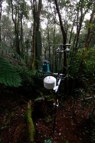 Rainforest Rehab in Every Sense