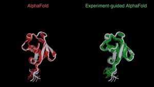 Experimental Guidance Improves Structural Predictions