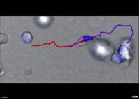 Cells with overlapping tracks