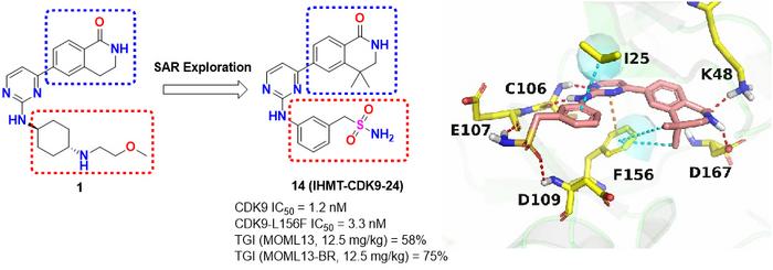Researchers Develop Potent CDK9 Inhibitor to Overcome Drug Resistance in Hematological Malignancies