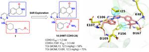 Researchers Develop Potent CDK9 Inhibitor to Overcome Drug Resistance in Hematological Malignancies