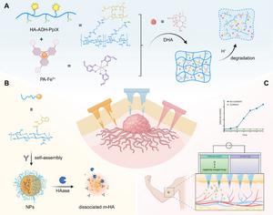 FIG. 6. STIMULUS-RESPONSIVE TRANSDERMAL MN PATCHES