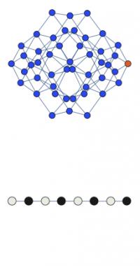 Many-Body Quantum Scar