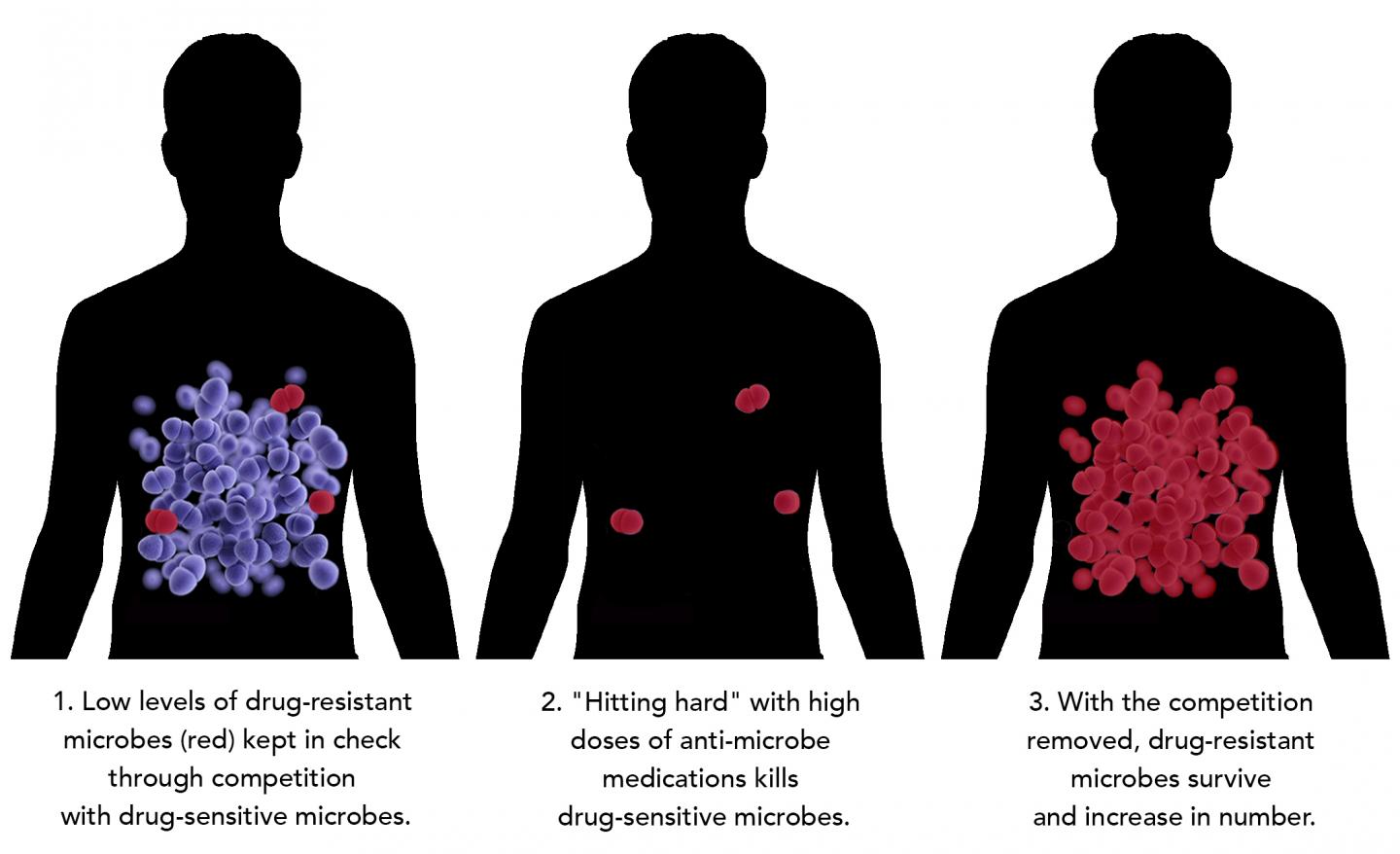 What Is The Optimal Dose Of Medication To Prevent The Evolution Of Drug Resistance?