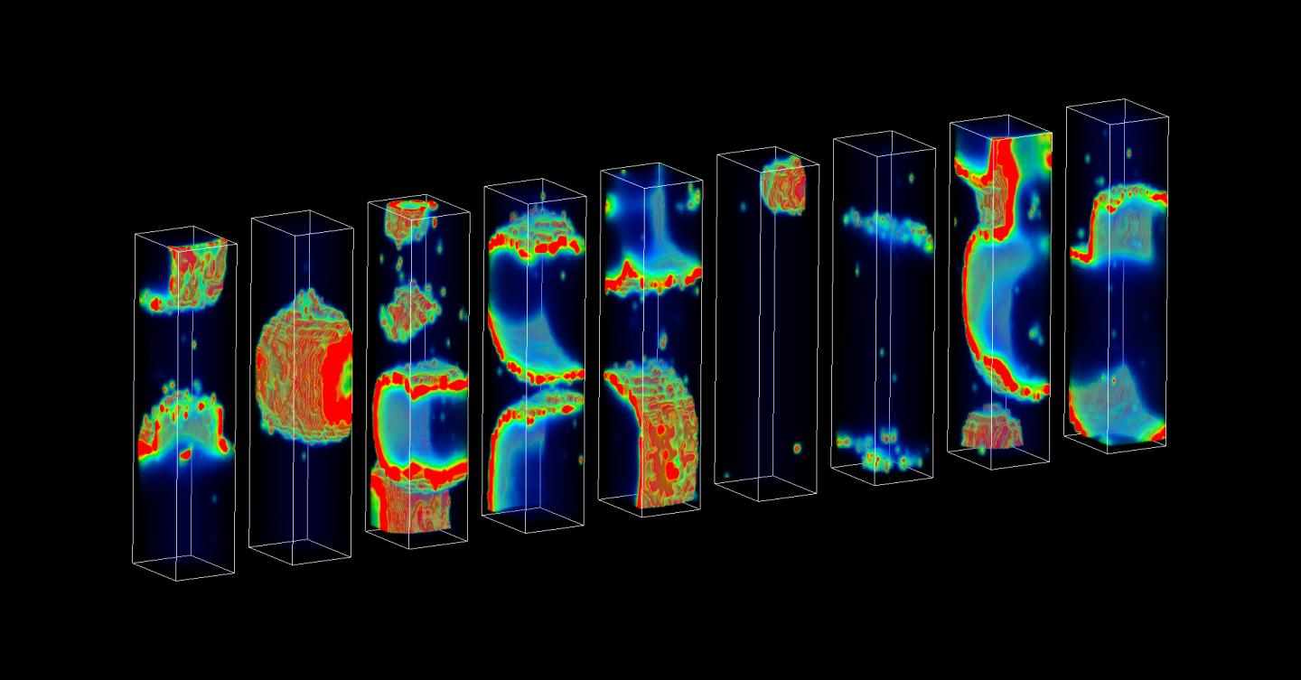 Heart Model Graphic