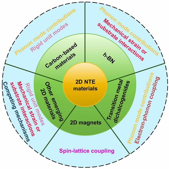 Mechanisms of Negative Thermal Expansion in 2D Materials