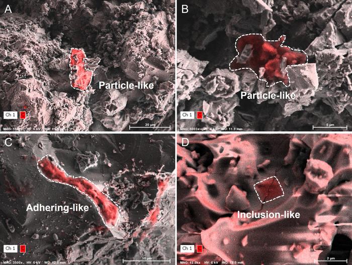 Representative organic matter in Chang'e-6 (A–B) and Chang'e-5 (C–D) lunar soils