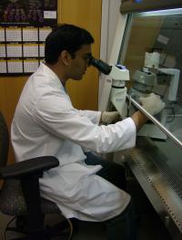 Bhanu Telugu, University of Missouri-Columbia