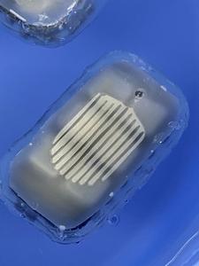 Implantable Device (2)
