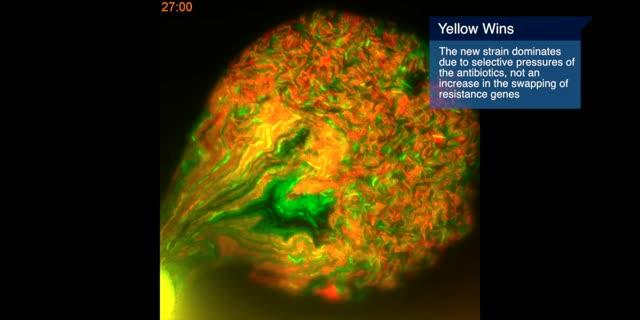Bacterial Sex on Drugs