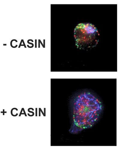 Getting Cells to Move