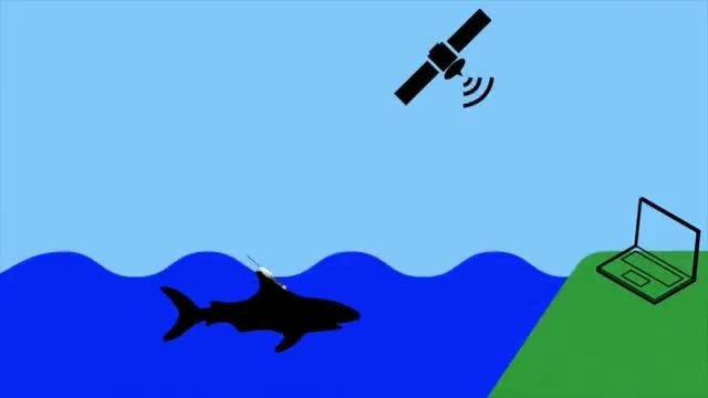 Marine Protected Areas