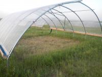 Grassland Plot