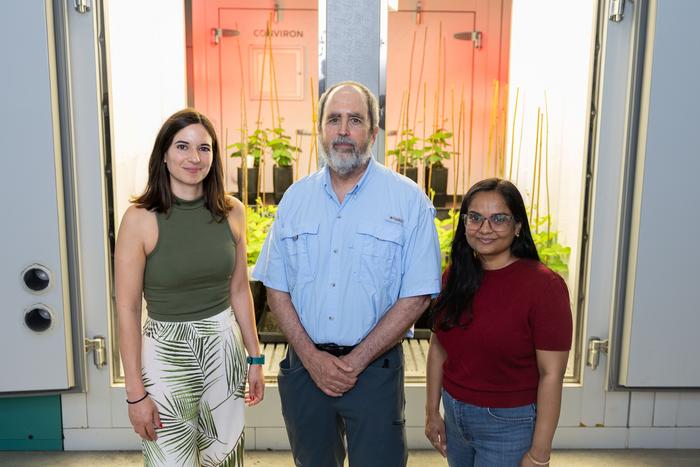 Research group