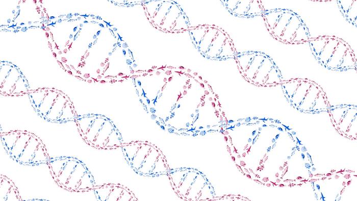 An illustration of DNA’s double helix structure formed by schools of swimming fish.