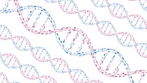 An illustration of DNA’s double helix structure formed by schools of swimming fish.