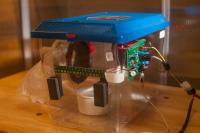 Insect Sensor