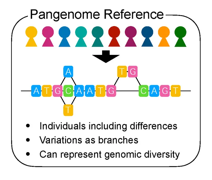 Pangenome reference