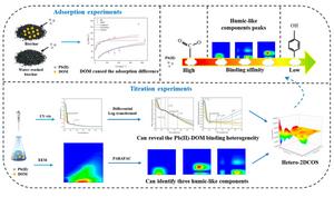 Binding mechanisms of Pb(II) adsorption by biochar-derived dissolved organic matter: unraveling site heterogeneity and kinetics through advanced spectral analysis