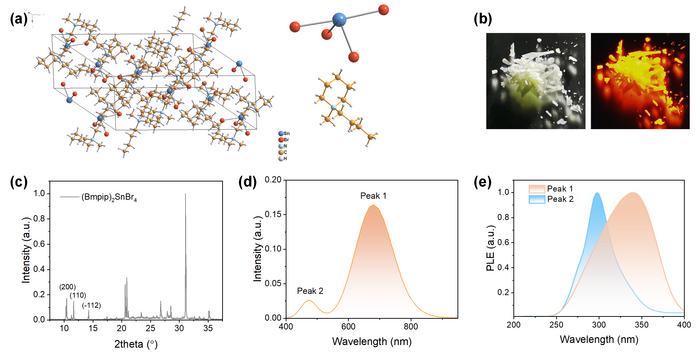 Spin-configuration of emission states in zero-dimensional metal halides