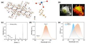 Spin-configuration of emission states in zero-dimensional metal halides