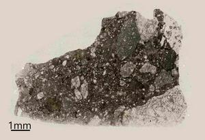Detection of apatite in ferroan anorthosite indicative of a volatile-rich early lunar crust