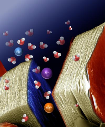 MXene Intercalation