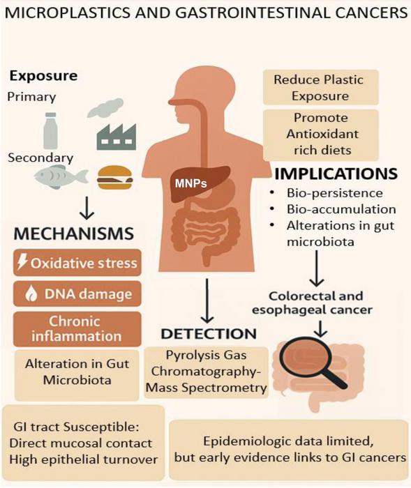 Micro/Nanoplastics and Cancer: Focus on Gastrointestinal Malignancies