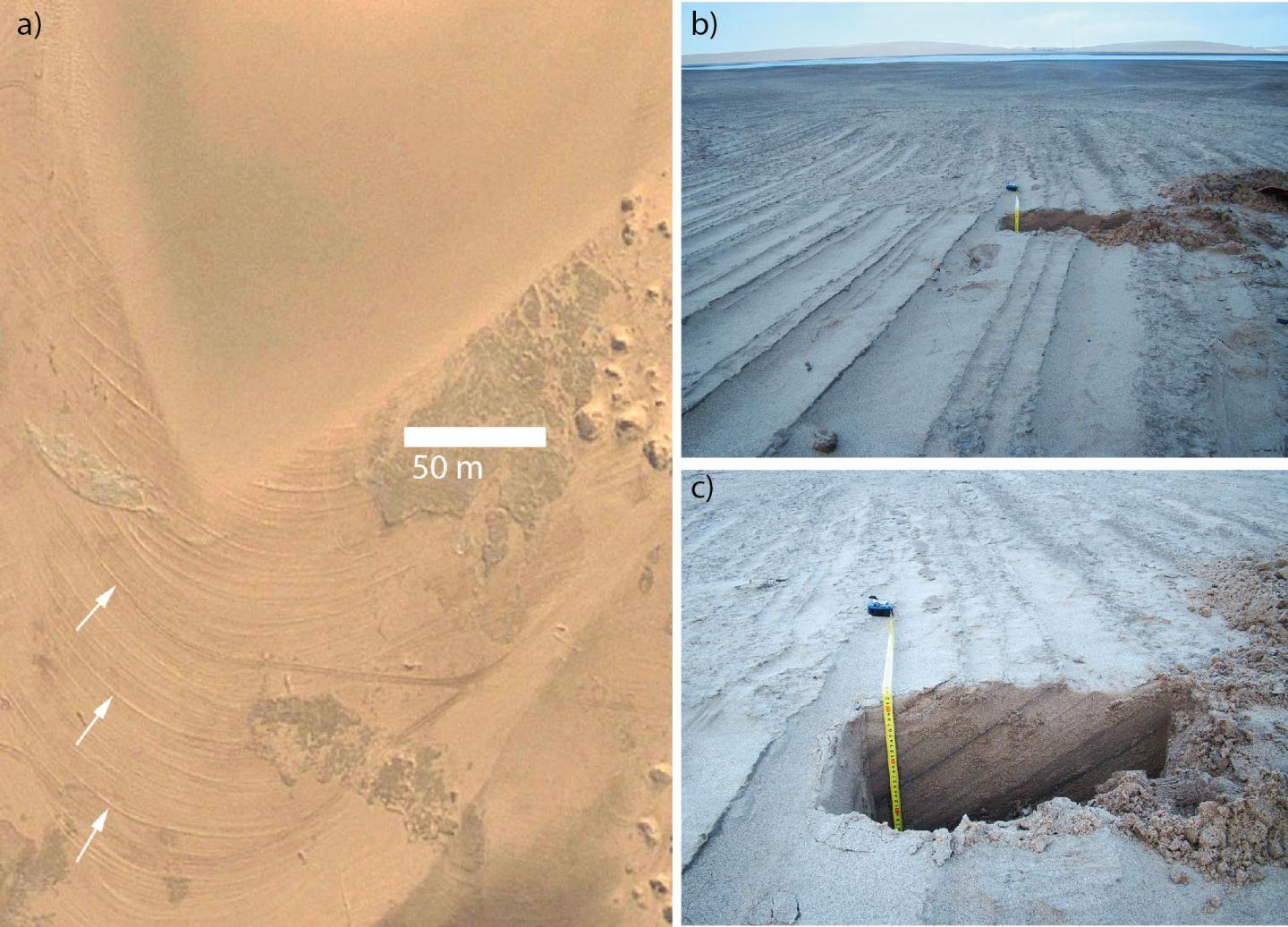Example of Geochemically Cemented Corssbed Strata in the Interdune near Walvis Bay, Namibia