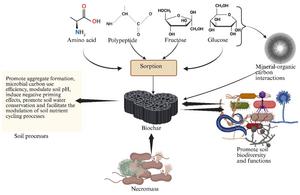 The impacts of biochar on carbon sequestration, soil processes, and microbial communities: a review