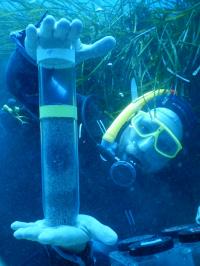 Fieldwork