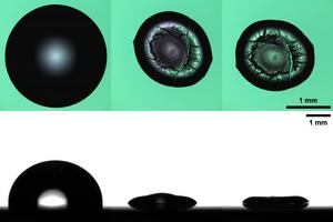 A water-protein droplet drying on the surface coated with PDMS brushes