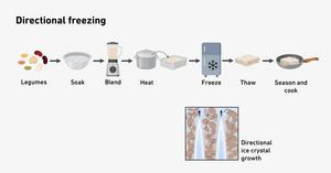 Directional freezing