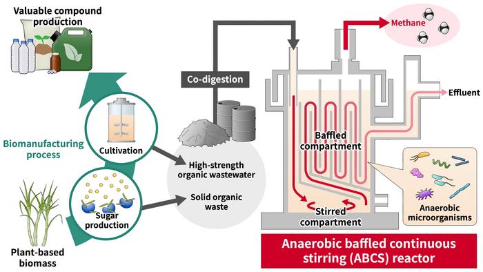 ABCS reactor for the co-digestion of solid organic waste and high-strength wastewater from biomanufacturing processes
