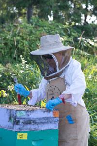 Beekeeper