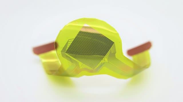 1,008 Electrode Neural Interface Virtual Tour